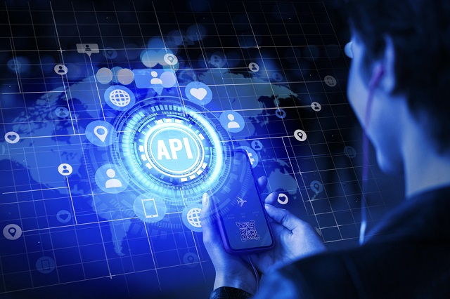 laravel api development integration