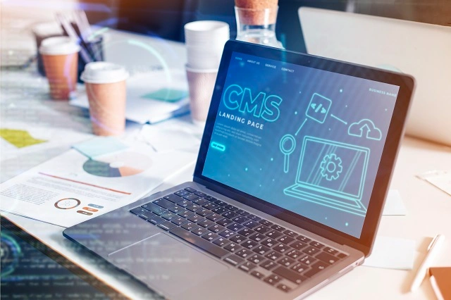 professional php development company in India